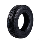OMIKRON A/T