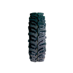 Badak X-Treme